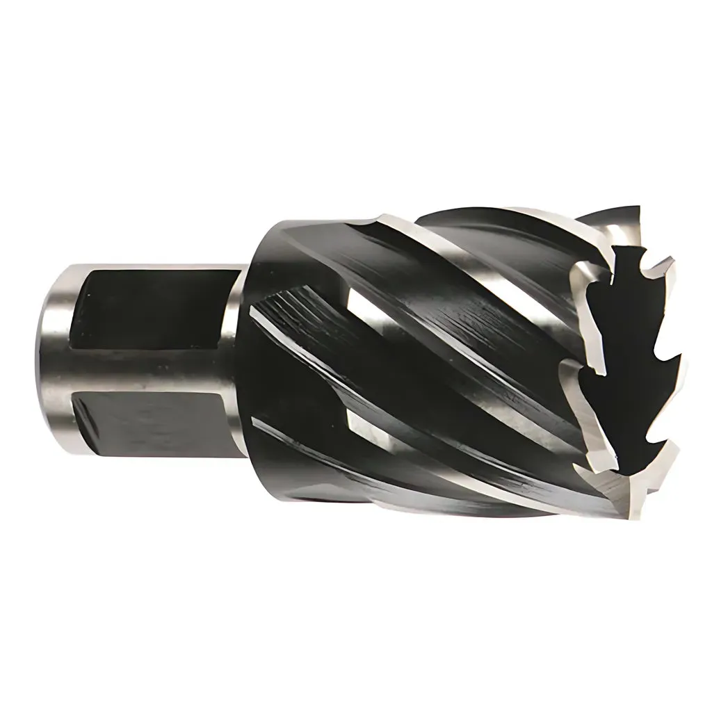 1-1/4 in. HSS Annular Cutter 1 in. Depth