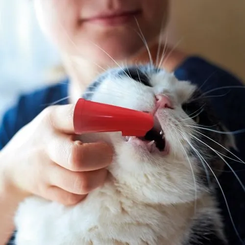 Beaphar Finger Toothbrush for Dogs and Cats 2 Pack