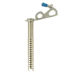 Black DIamond Express Ice Screw, 16cm