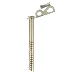 Black DIamond Express Ice Screw, 19cm