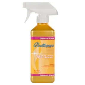 Brilliance Spray and Rinse Filter Cleaner