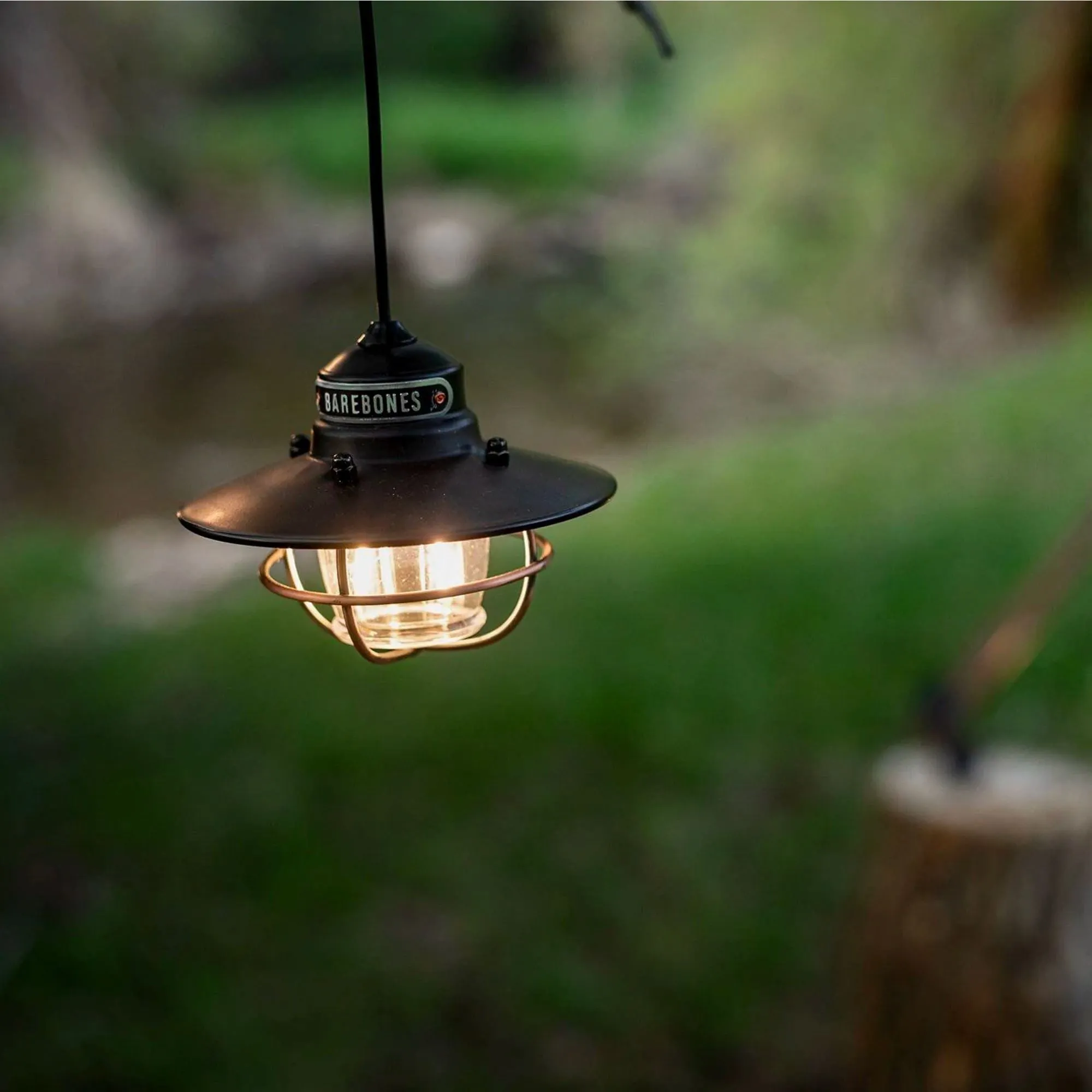 Edison Pendant Light