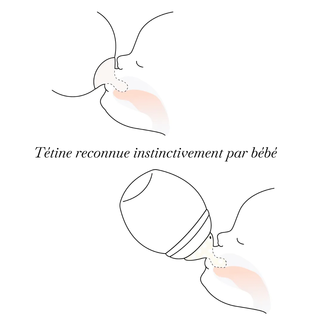 Élhée, Physiological Teats , Fast Flow - 2 Pk