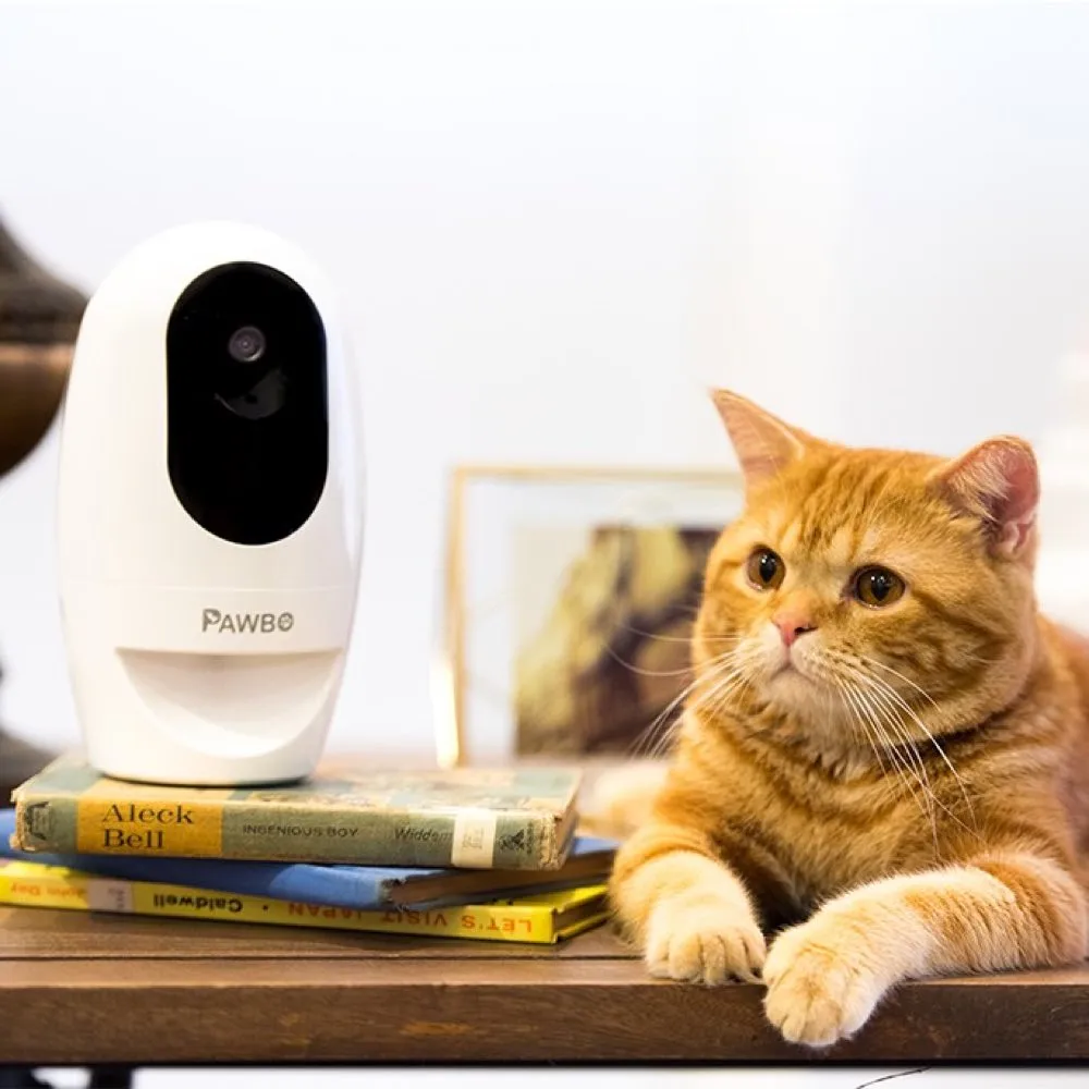 Pawbo  Wireless Interactive Pet Camera