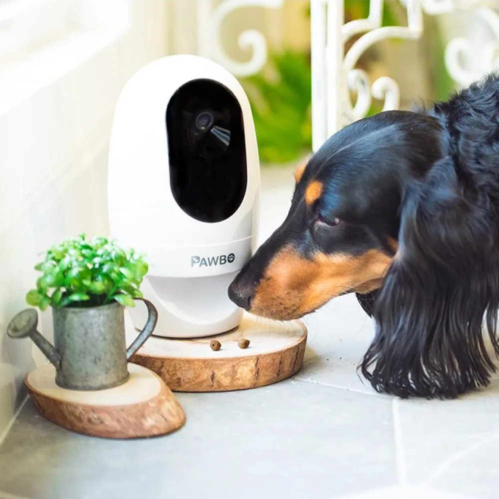 Pawbo  Wireless Interactive Pet Camera