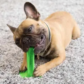 STRESS-FREE DIY Dog Toothbrush