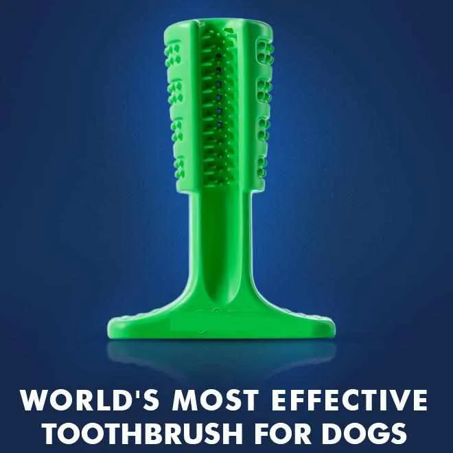 STRESS-FREE DIY Dog Toothbrush